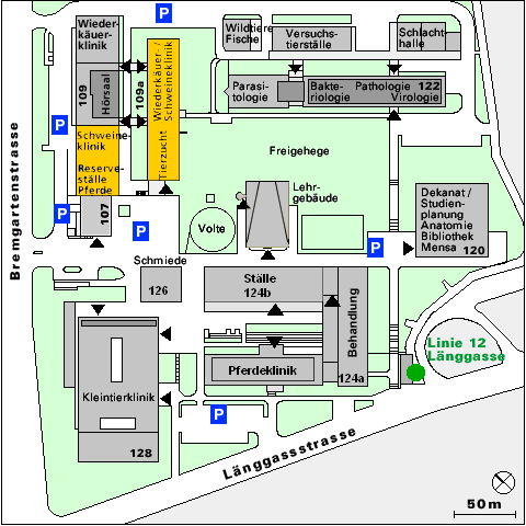 Lageplan Tierspital